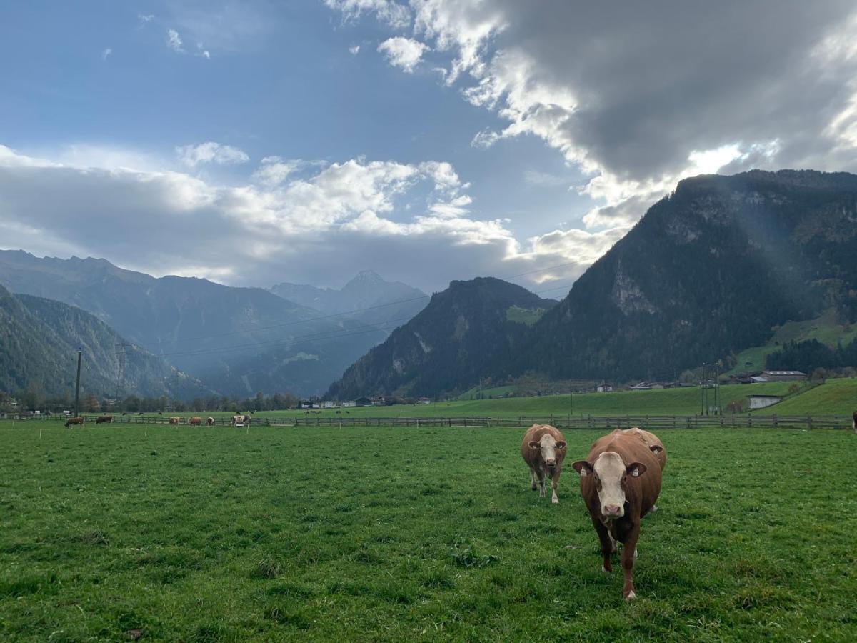Alpen-Apart Schwendau Buitenkant foto